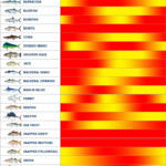 2022 March Fishing Calendar April Calendar 2022
