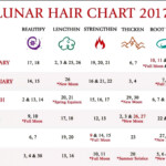 Anthony Morrocco Lunar Hair Cutting Chart 2020 Calendar For Planning