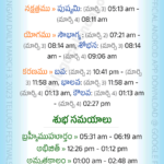 Atlanta March 3 2023 Telugu Panchangam