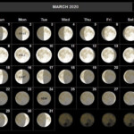Lunar Calendar 2022 Nyc Blank Calendar